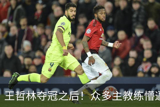 王哲林夺冠之后！众多主教练懵逼，就这个数据跟胡金秋差远了